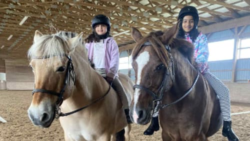 BR Equestrian, PD Day Camp