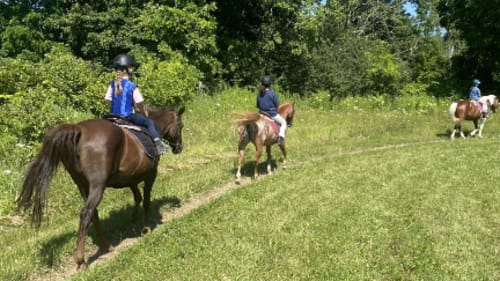 BR Equestrian, Summer Camp!