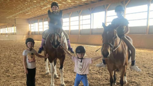 BR Equestrian, Learn to ride horses!