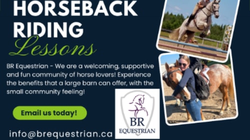 BR Equestrian, English Horseback Riding Lessons!