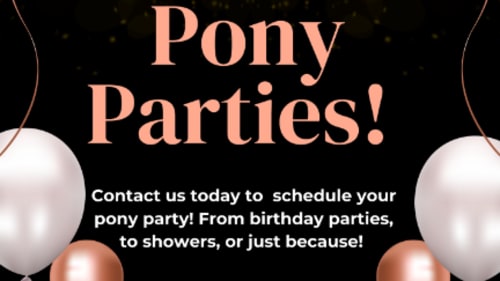 BR Equestrian, Pony Parties!