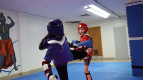 Variety Village, Pre-Competitive Taekwondo