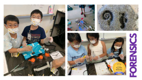 Medics Camp, Medics Camp-Forensic Medicine L2