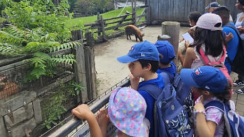 Seneca Hill Summer Camp, Junior STEM Explorers Camp - Farm Fun