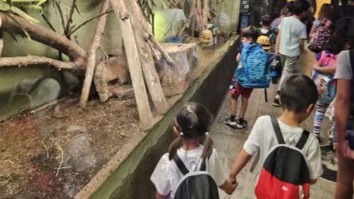 Seneca Hill Summer Camp, Junior STEM Explorers Camp - Crawly Reptiles
