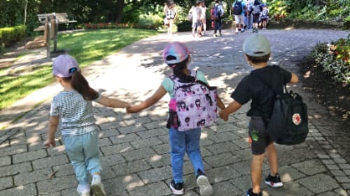 Seneca Hill Summer Camp, Junior STEM Explorers Camp - Animal World