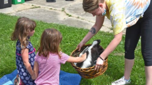 Creative Kids Place, Animal World (5 to 7)