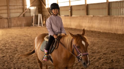 YMCA of Oakville, Fun with Horses