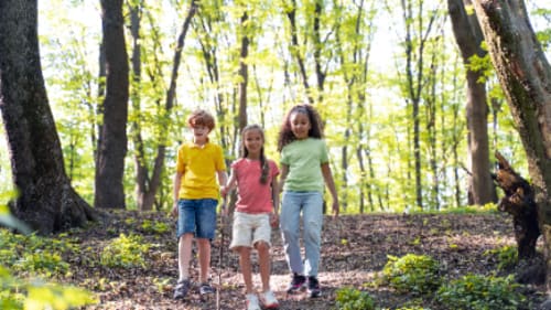 YMCA of Oakville, Trailblazers