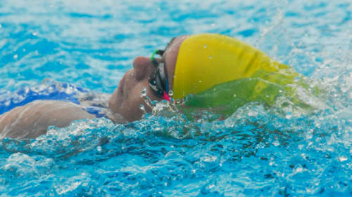 Seal Swimming, Swim Camp