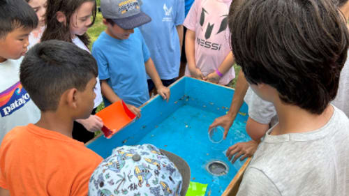 Variety Village, Mad Scientists Camp
