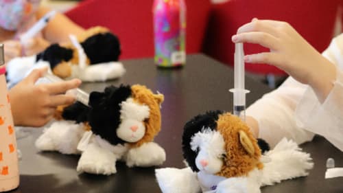 GNAG Traditional and Specialty Camps and Programs, Ottawa Medical School: Purr-fect Vet Adventures JK - Gr 1