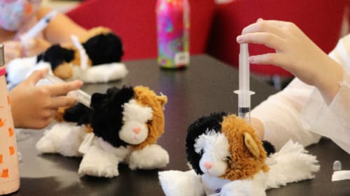 GNAG Traditional and Specialty Camps and Programs, Ottawa Medical School: Inner Vet School JK - Gr 1