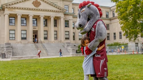 Gee-Gees Sports Camps, Culinary Colour Theme
