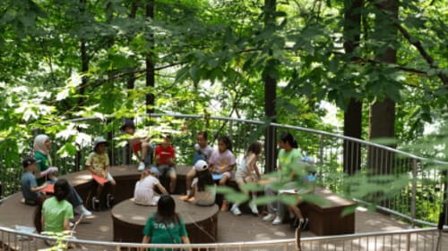 Branksome Camps, Junior Eco Explorers