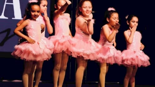 Legacy of Dance Academy, Intro to Dance Ballet for 2-4yrs