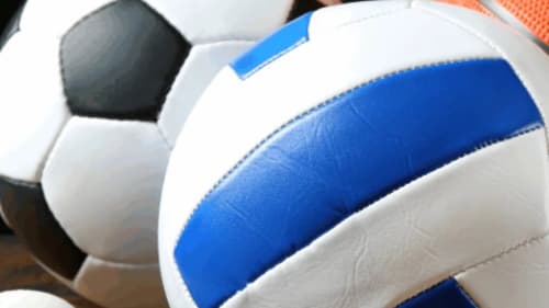 Newton's Grove Summer Camp, Multi-Sport Camp