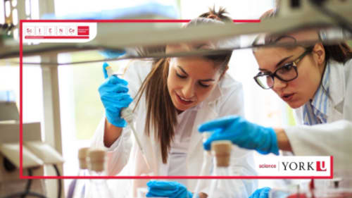 York University; Science Engagement, Molecular and Physiological Mechanisms