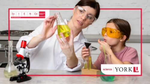 York University; Science Engagement, STEM Camp: Junior Scientists