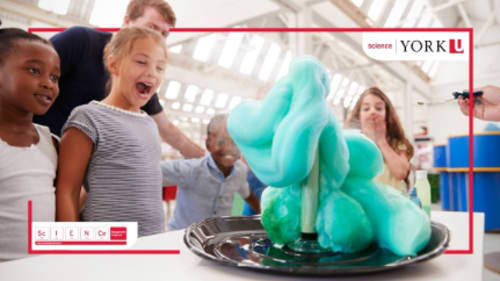 York University; Science Engagement, STEM Camp: AweSTEM Science