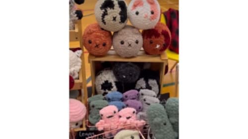 Neilson Park Creative Centre, Crochet, Amigurumi- Assorted Sushi Platter