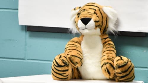 Ridley College Summer Programmes, Where in the World is Hank the Tiger? - Intermediate