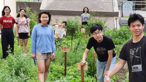Explorations Learning, Explorations Summer Leadership July 20-31 2026 - Ages 15 +