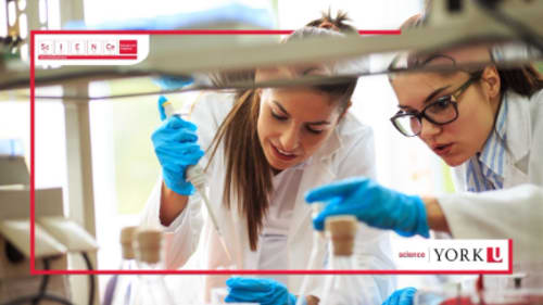 York University; Science Engagement, Neuroscience in Practice: Neurons and Electrophysiology