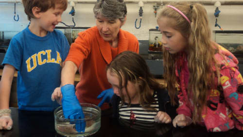 Science Venture - University of Victoria, Ocean Explorers