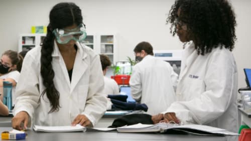 UTS: March and Summer Camps , Global Health Mini-Masters