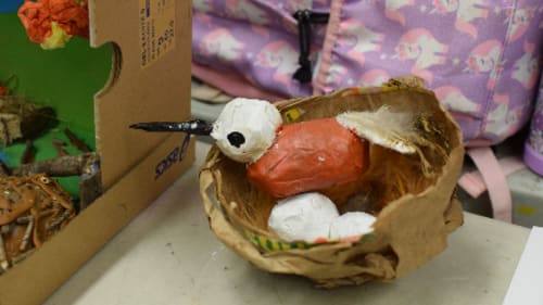 Ottawa School of Art, Our Weird and Wonderful Planet | Ages 8 - 9
