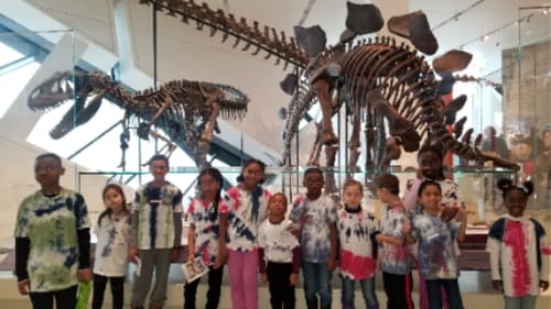 Kidnetix, Summer Camp Brampton West - INTO THE WILD
