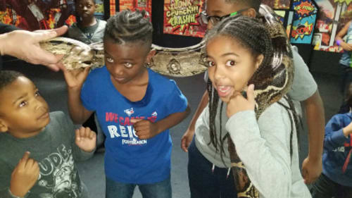 Kidnetix, Summer Camp Brampton West - SLIVER & SAFARI DISCOVERY WEEK