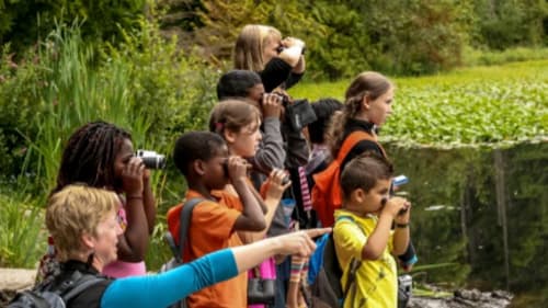 Stanley Park Ecology, Trial Day at Stanley Park's EcoCamp