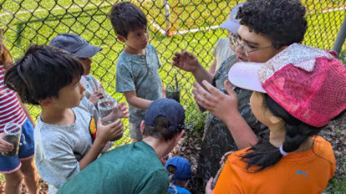 Explorations Learning, Summer Camp: July 5-16, Ages 6-7