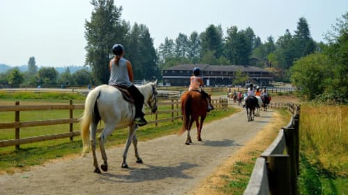 Timberline Ranch, Horsemanship Camp