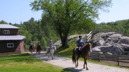 Timberline Ranch, Spring Day Camp