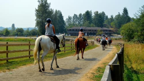 Timberline Ranch, Mother & Daughter Camp
