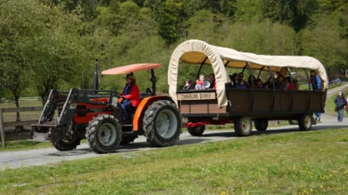 Timberline Ranch, Family Camps