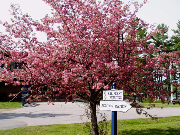 Rosseau Lake College - Campus in Spring 
