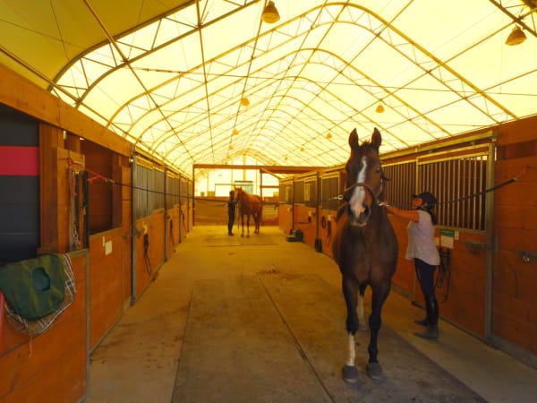 Queen Margaret's School - Indoor Riding Arena 