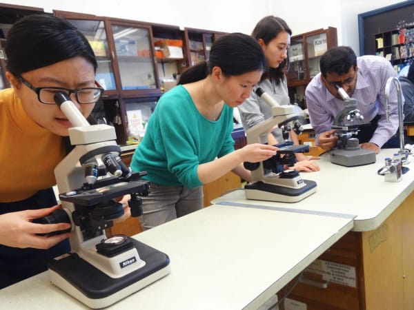 University of Toronto Schools - Science facilities 2 