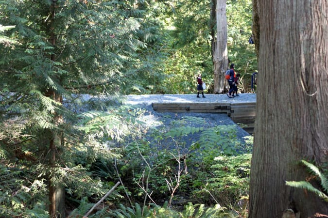 Meadowridge School - A peak of our one kilometre long trail system that runs through our forested area. 