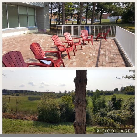 Newton’s Grove School - The patio overlooks 100 acres of green space 