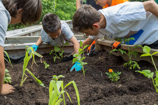 Crescent School - Crescent students enjoy hands-on learning in our school gardens. 