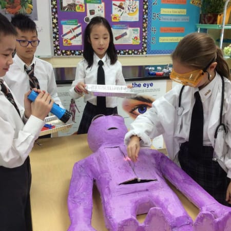 Richmond Hill Montessori Private School - RHMS students perform a heart transplant on a paper alien 