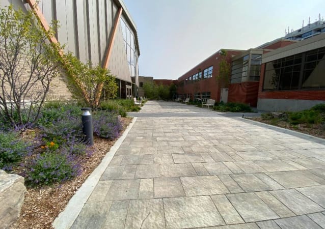 Lauremont School - Lower School Grove - Outdoor Learning Area 