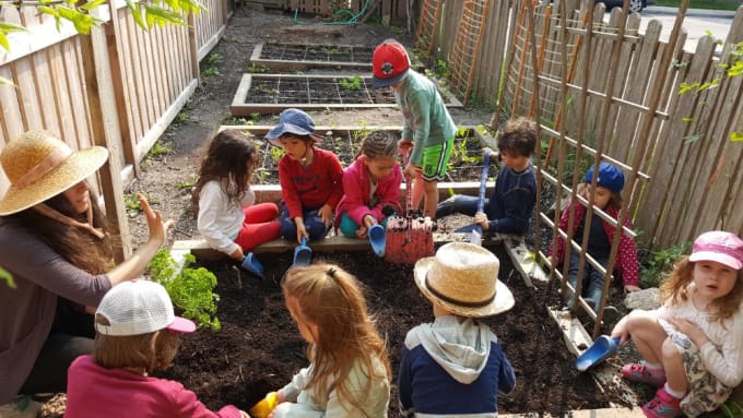 Waldorf Academy - Garden Plots Kindergarten and Grade 3
 