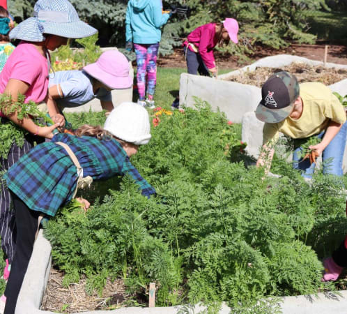 Calgary Waldorf School - Campus2 