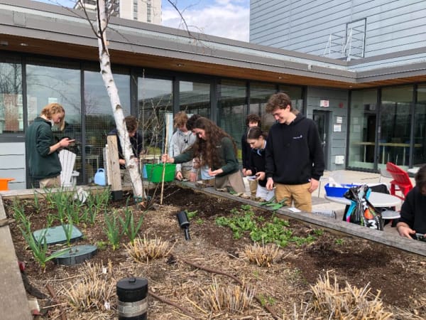 Greenwood College School - uRooftop terrace with garden 